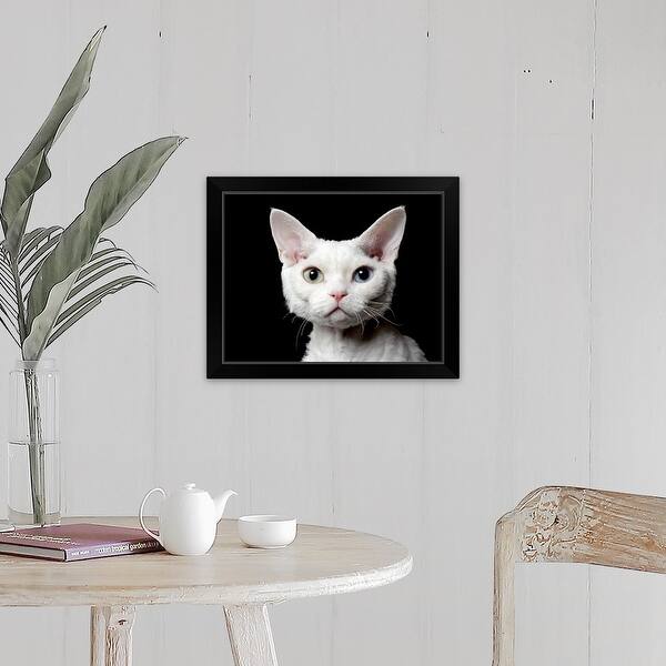 Shop Odd Eyed Cat Black Framed Print On Sale Overstock