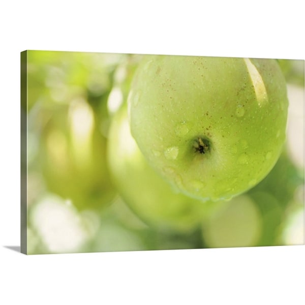 "Green apples" Canvas Wall Art