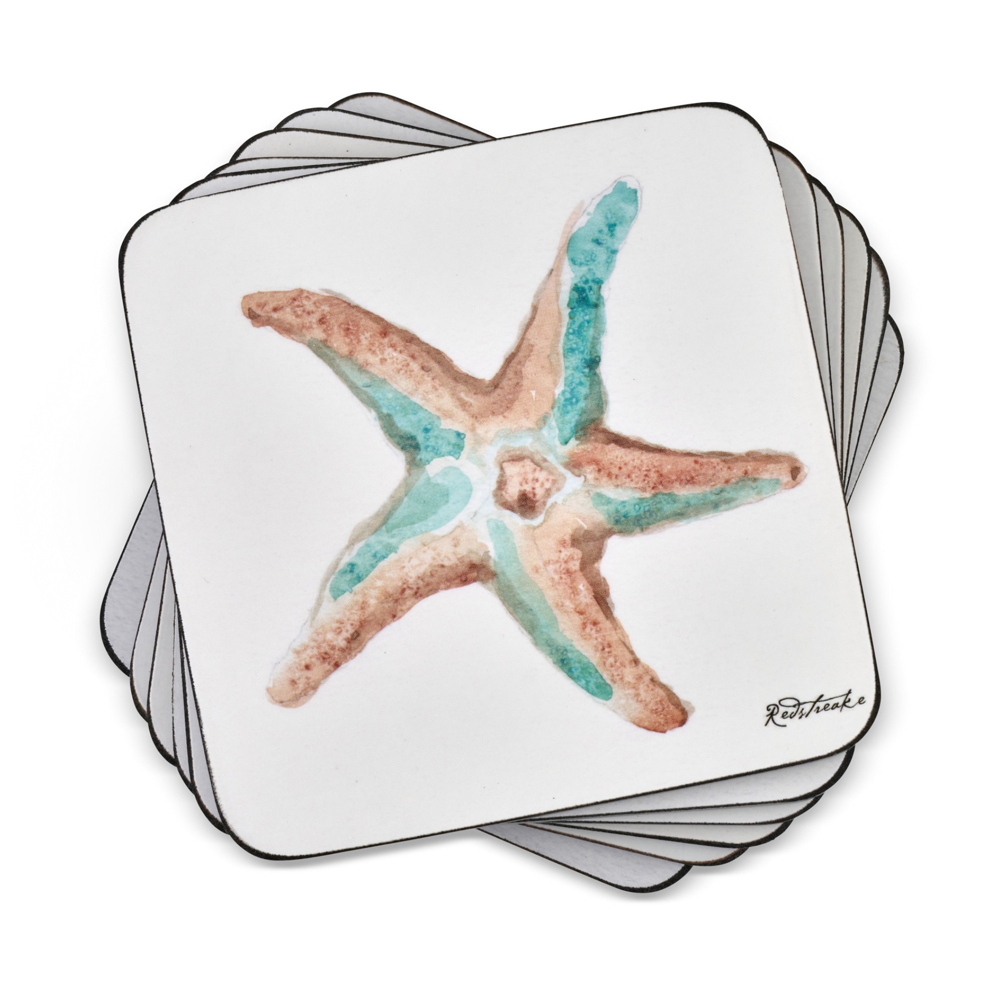 Pimpernel Coastal Shore Cork Backed Coasters Set of 6 Seashell Heat Resistant - 4 Inches Sq.