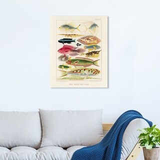 Oliver Gal 'Great Barrier Reef Fishes' Animals Green Wall Art Canvas ...
