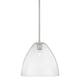 Option Satin Nickel / Seedy