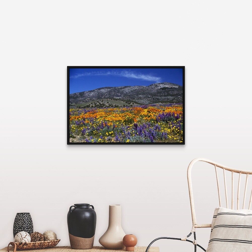 Shop Poppy Field In Bloom Distant Mountains California Black Float Frame Canvas Art On Sale Overstock 25500044