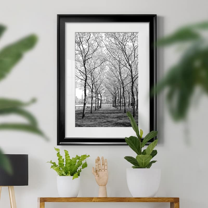 Pier a Park Premium Framed Print - Ready to Hang