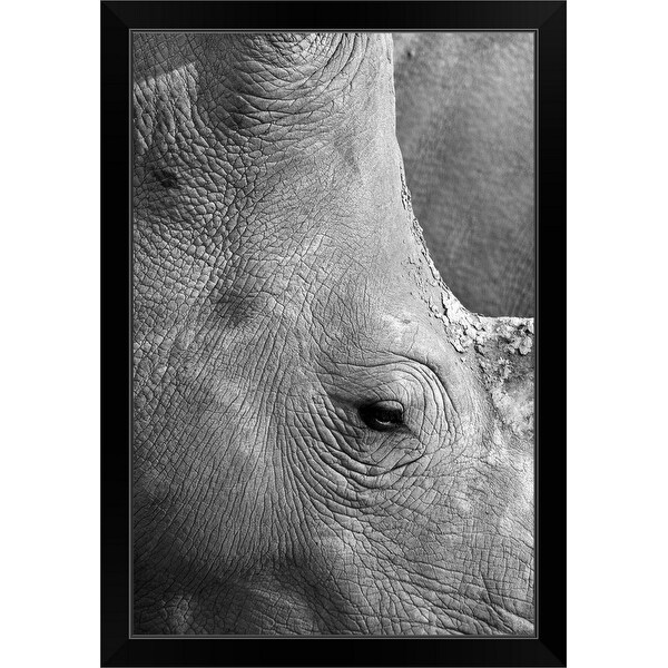 "White rhino close up" Black Framed Print