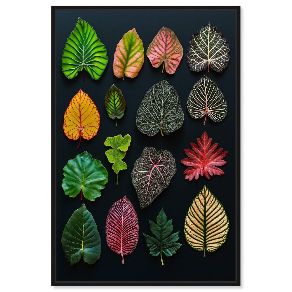 Leaf Lexicon Canvas by Art Remedy