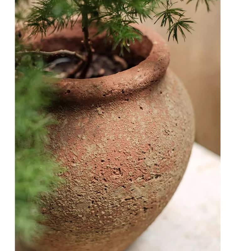 RusticReach Distressed Cement Plant Pot