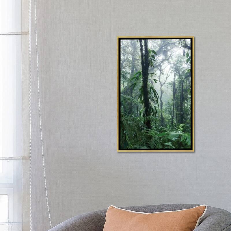 iCanvas "Monteverde Cloud Forest, Costa Rica" by Matteo Colombo Framed Canvas Print
