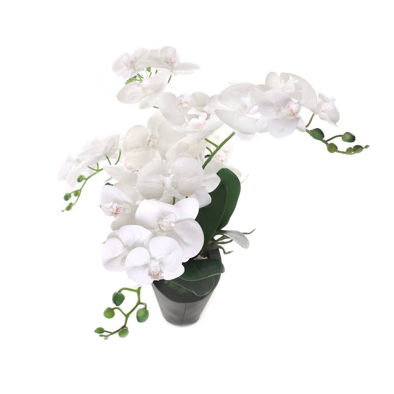 White Real Touch Phalaenopsis Orchids in Modern Black Pot