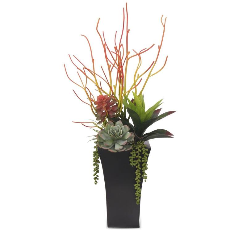 Pencil Cactus, Agave, Succulents Floral in Black Square Pot - Green - 16Wx12Dx20H