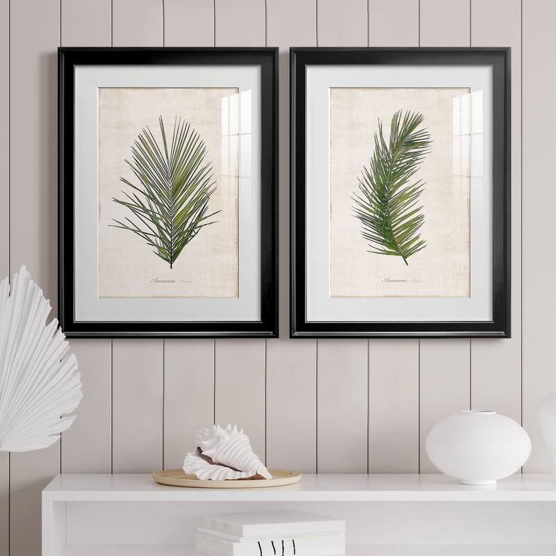 Palm Botanical I Premium Framed Print - Ready to Hang