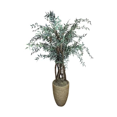 6.5 ft Italian Ruscus Tree in a Rope Covered Cement Planter - Green