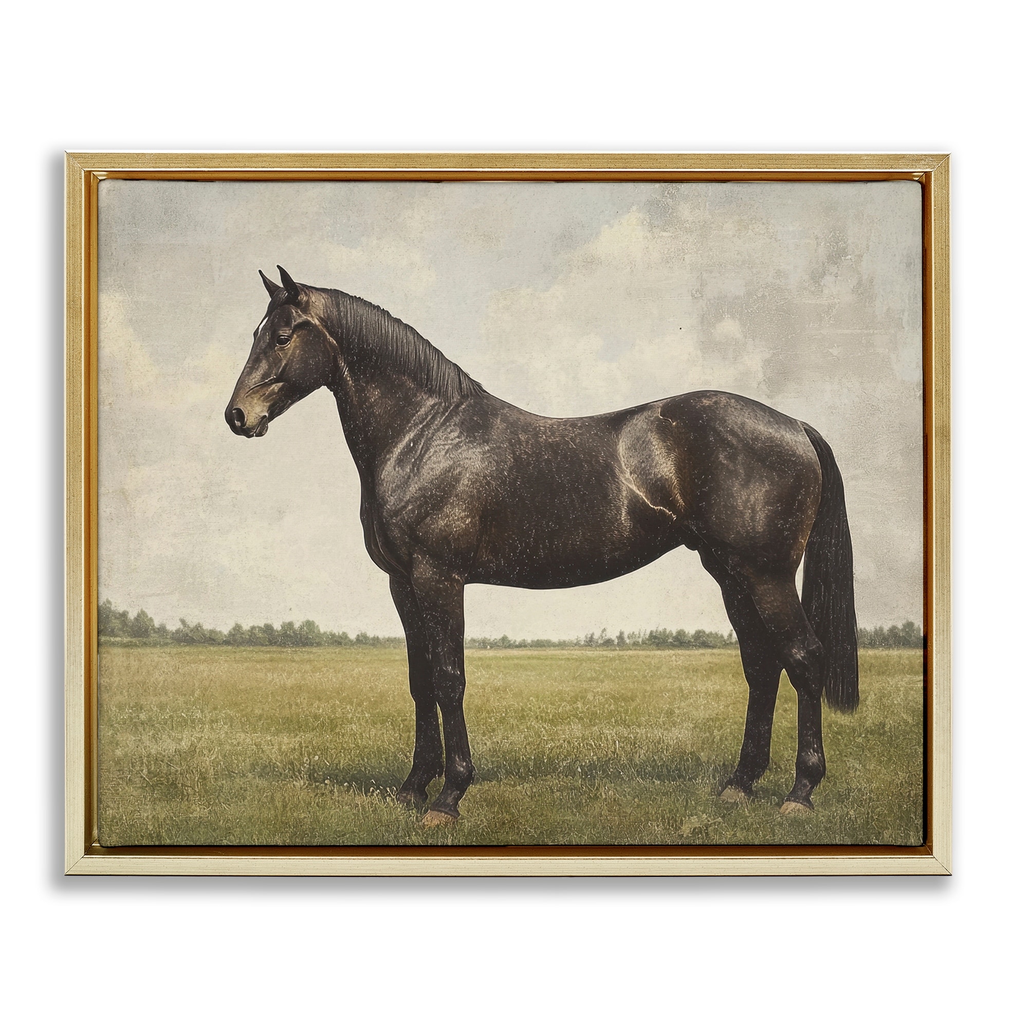 Stupell Espresso Horse Portrait Framed Floater Canvas Wall Art Design By Petal Prints Design