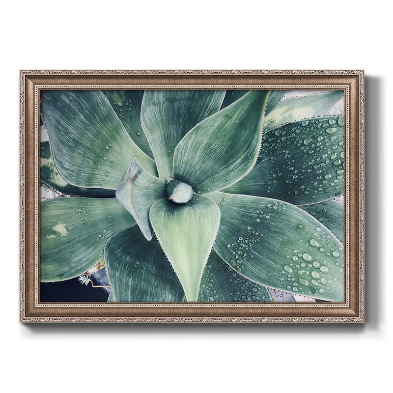 Green Tropical Succulent VIII Premium Framed Canvas- Ready to Hang - 24X36 - Pewter