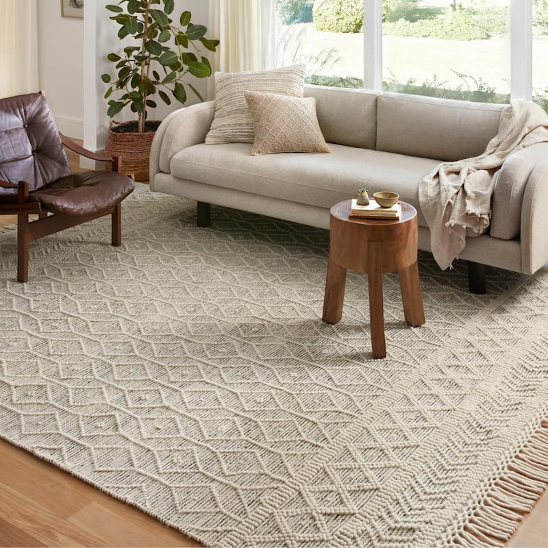 Alexander Home Joanna Farmhouse Hand Woven Area Rug - 2' x 5'