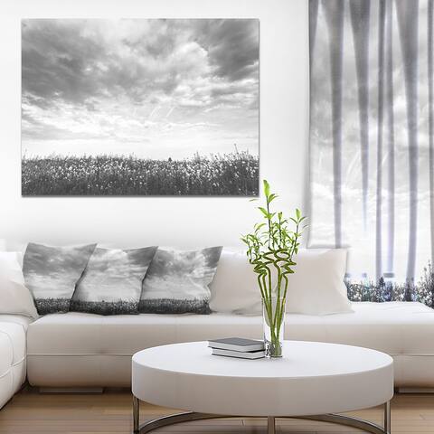 Designart 'Rapeseed Garden in Black and White' Large Landscape Canvas Art