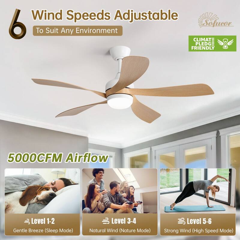 52"/66" Inch Ceiling Fan with Light,APP and Remote Control, Low Profile,Smart Optional