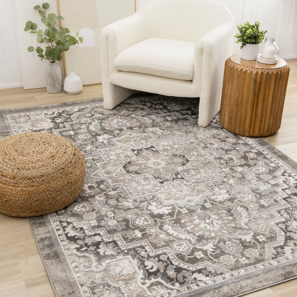Hudson Collection - Traditional Elegant Taupe White Area Rug