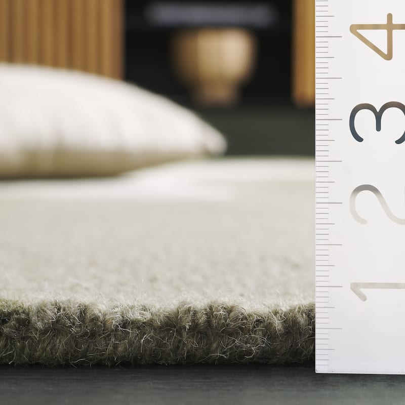 SAFAVIEH Handmade Novelty Giana Modern Wool Rug