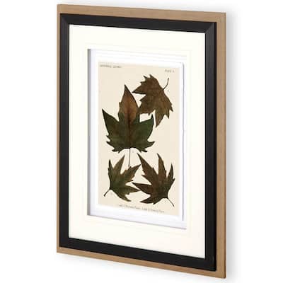 Autumnal Leaves IV Framed Art Print