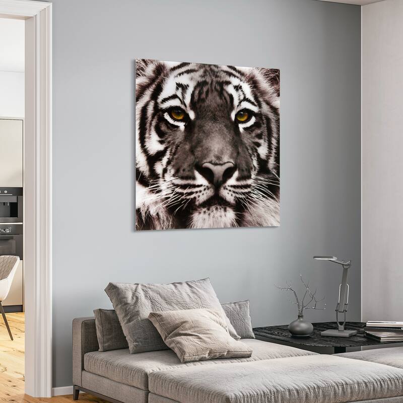 "Eye of the Tiger" Frameless Free Floating Tempered Glass Panel Graphic Wall Art