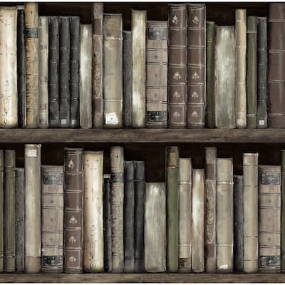 Harry & Grace Faux Bookshelves Peel and Stick Wallpaper