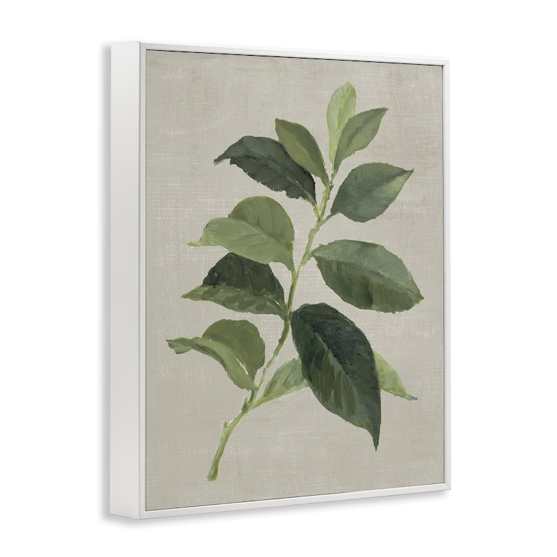 Stupell Arabica Coffee Plant Leaf Framed Giclee Art Design By Lanie Loreth