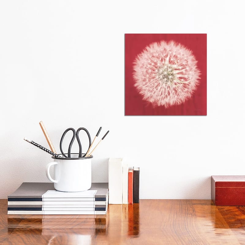 iCanvas "Dandelion on Red I" by Aledanda Canvas Print - 12x12x1.5