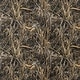 preview thumbnail 11 of 12, Realtree 5-piece Queen Bed In A Bag Set
