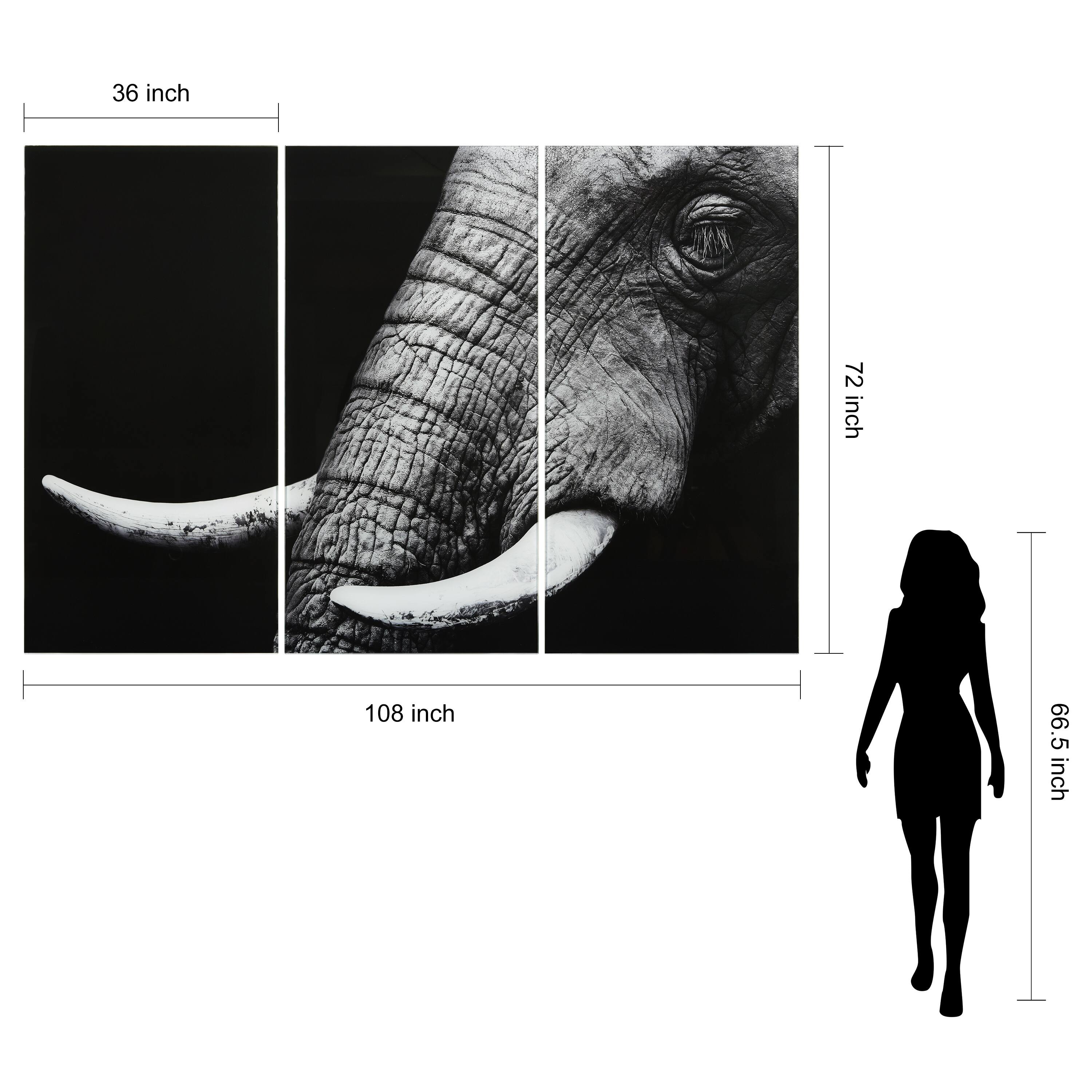 Elephant ABC Frameless Free Floating Tempered Glass Panel Graphic Wall