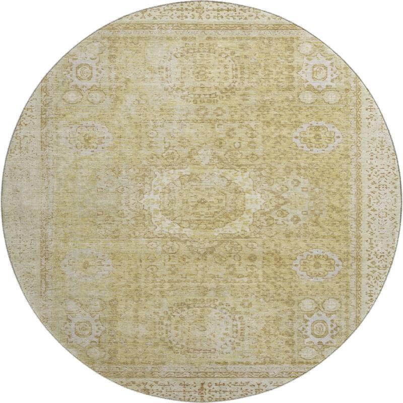 Premium Washable Super Soft Vintage Traditional Mayfield Rug
