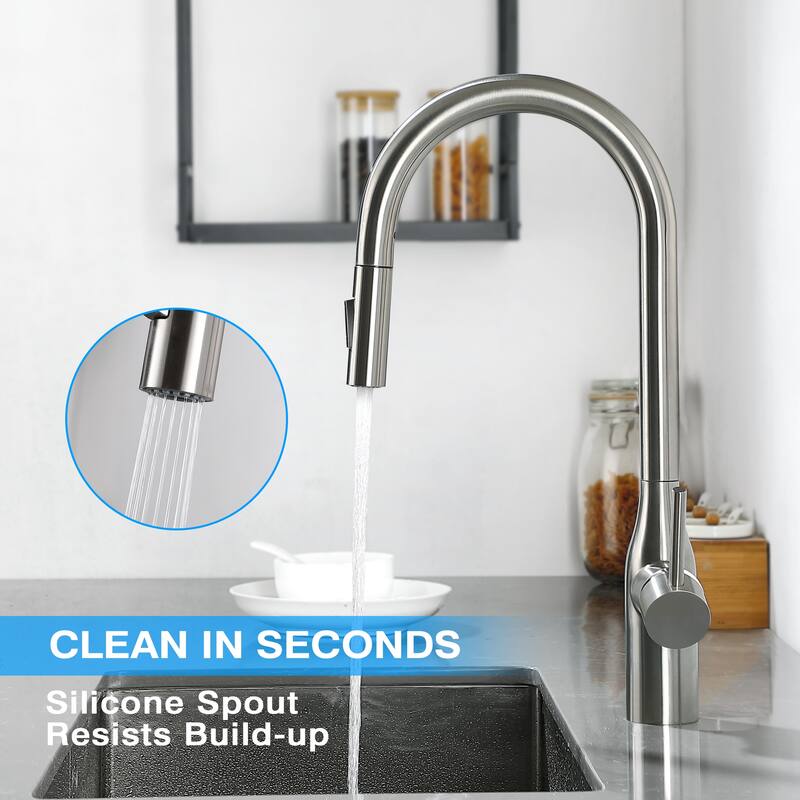 Single Handle Pull-Down Kitchen Faucet with Dual Spray, Swivel Spout