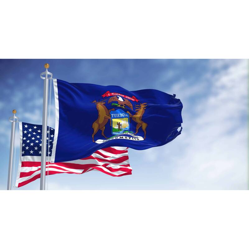 3'x5' State of Michigan Outdoor Nylon Flag - Small