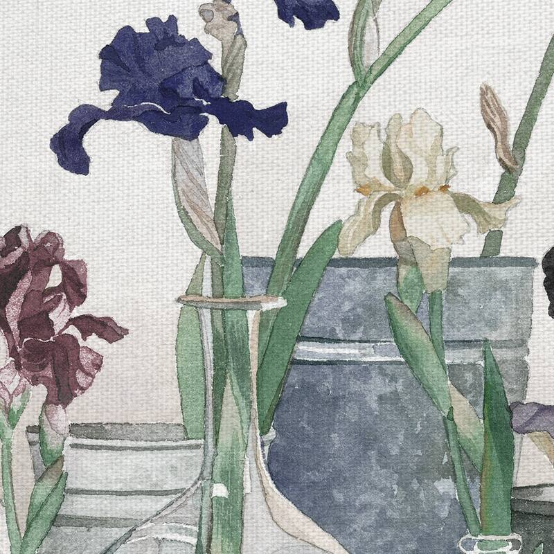 Irises in Vases Ivory by Suzanne Cruise Creative Services Canvas Art Print