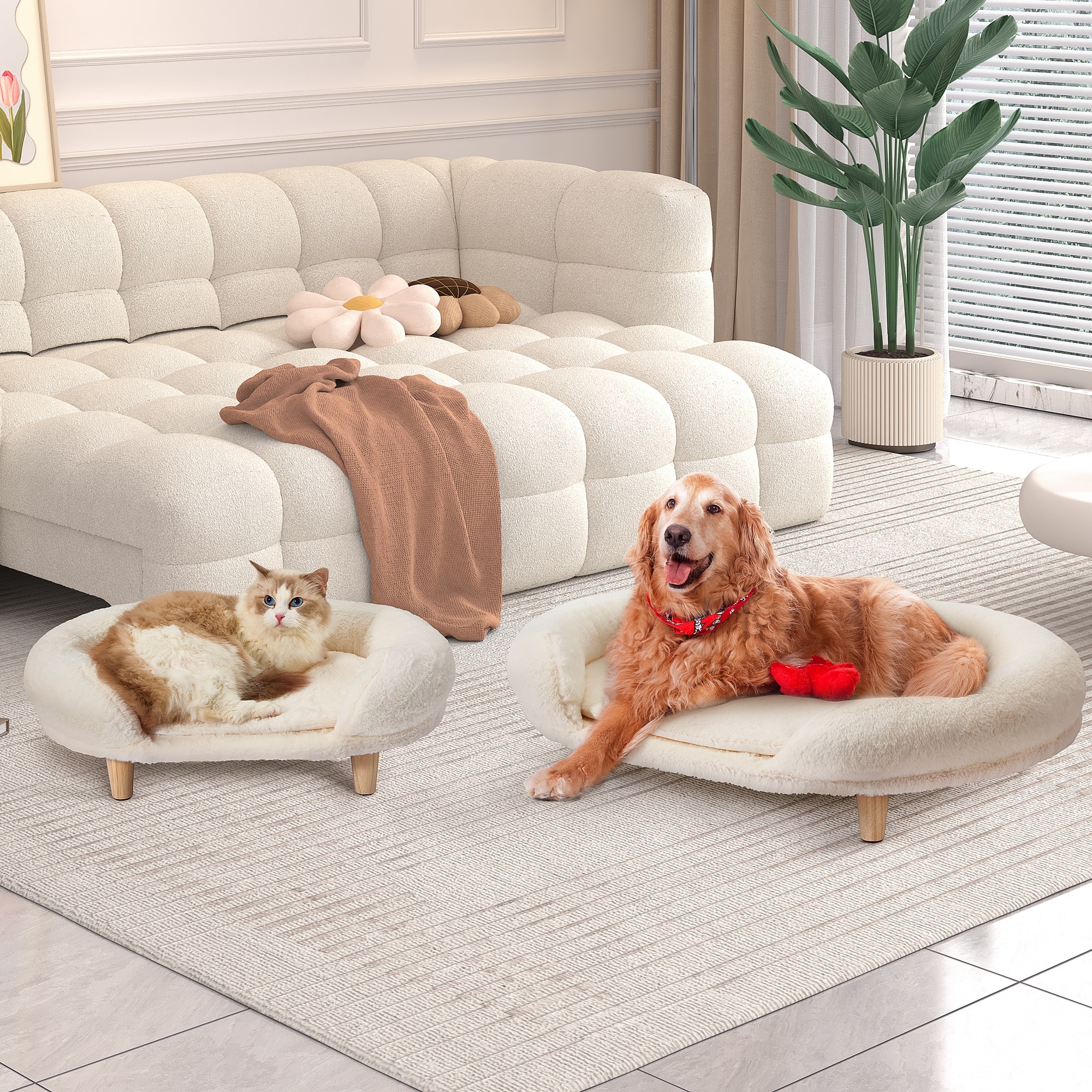 Pet sofas and furniture hotsell