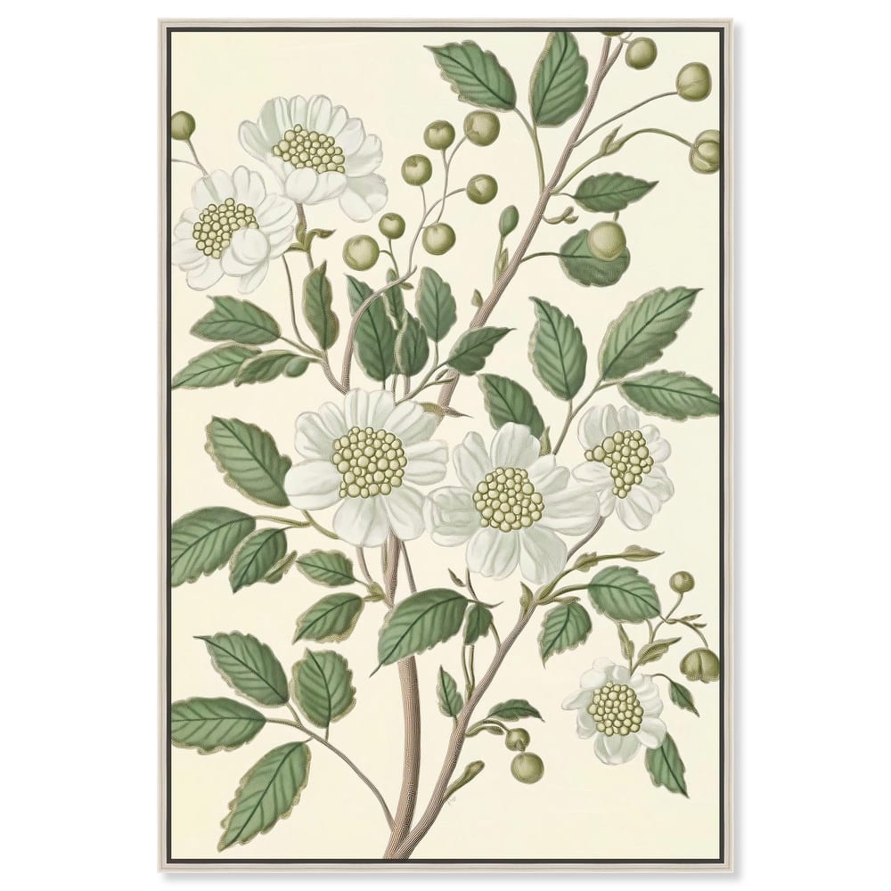 White Cherokee IV Canvas by Art Remedy