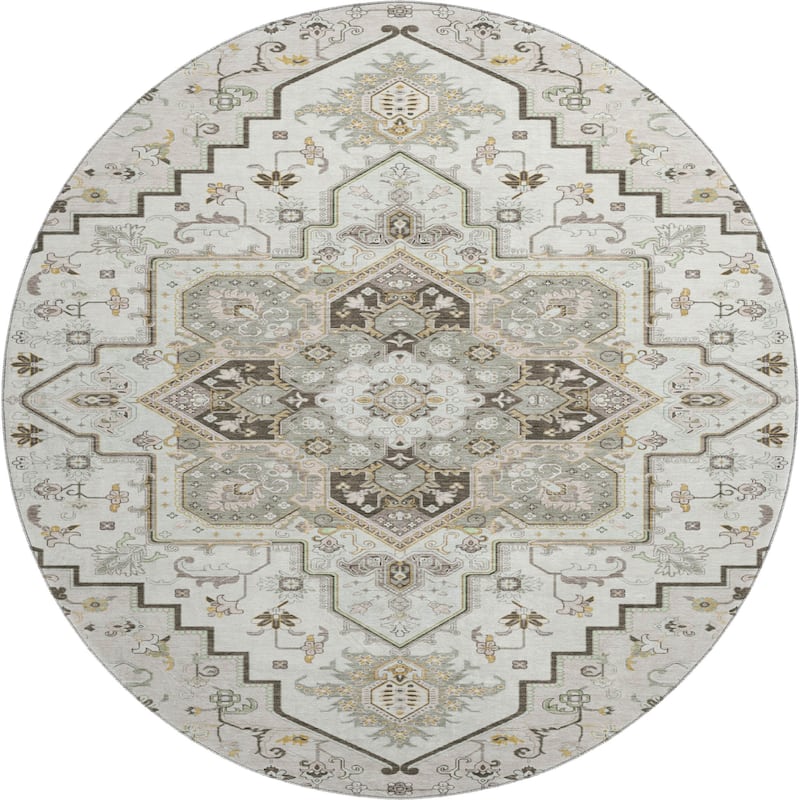 Premium Washable Super Soft Traditional Oriental Mayfield Rug