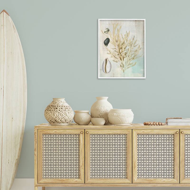 Stupell Coral Branch & Cowrie Shells Framed Giclee Art Design By Susan Arnot