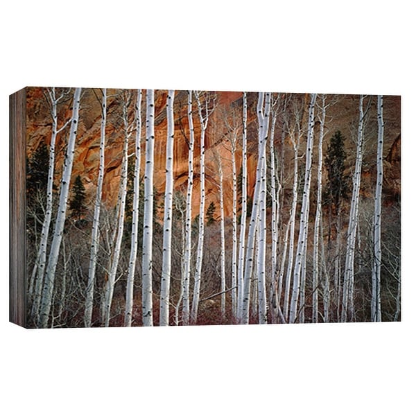 PTM Images 9-101945 PTM Canvas Collection 8" x 10" - "Betatikin Aspen" Giclee Forests Art Print on Canvas