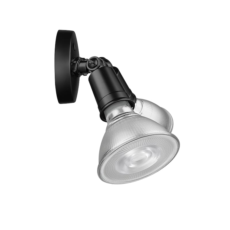 Millennium Lighting 2 Light Flood Light Fixture
