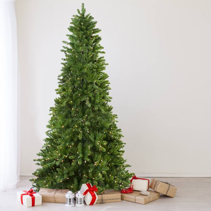 10' Pre-Lit Everett Pine Slim Artificial Christmas Tree Clear Lights