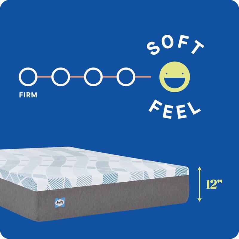 Sealy Dreamlife 12" Foam Mattress-in-a-Box
