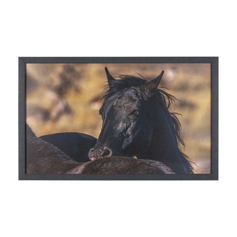 Wild Horses