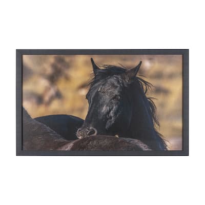 Wild Horses