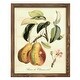 preview thumbnail 59 of 138, Printed Tuscan Fruits IV -Framed Print w/glass-Cherry Red 12x15 - Walnut