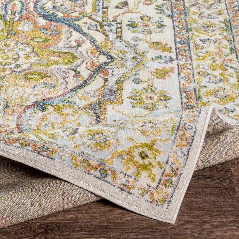 Livabliss Morey Persian Medallion Area Rug