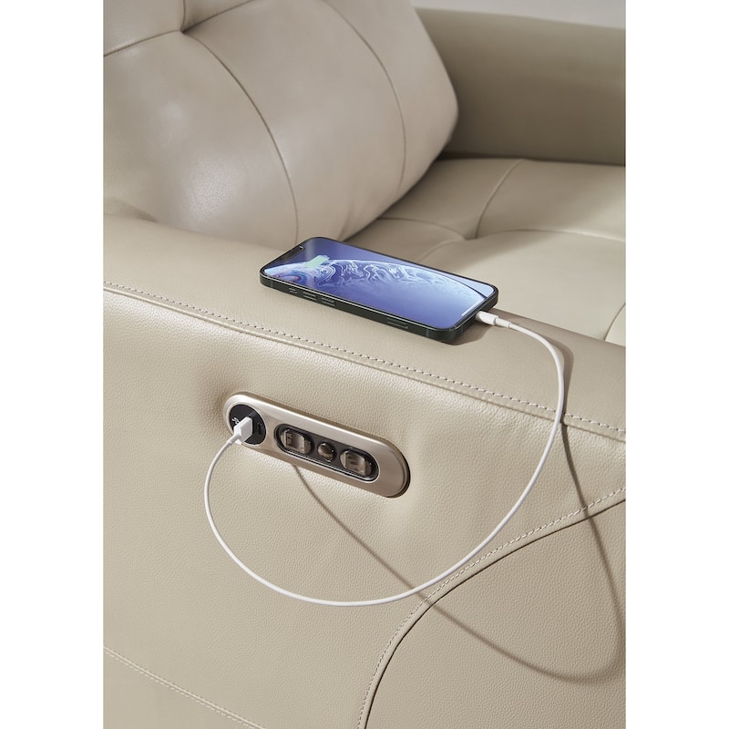 Signature Design by Ashley Pisgham Power Recliner