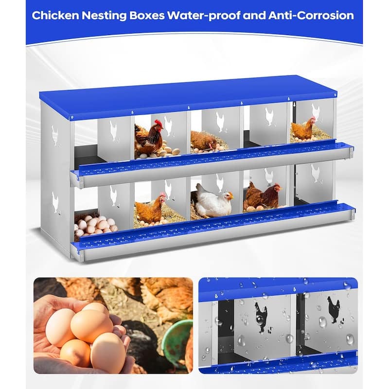 10 Compartment Nesting Box, Chicken Laying Box, Easy to Clean and Install