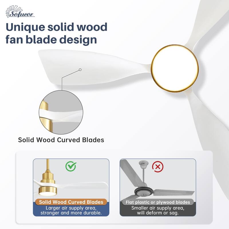 Modern Ceiling Fan With Light Smart Life APP Remote Control Timer For Alexa Google Bedroom Farmhouse