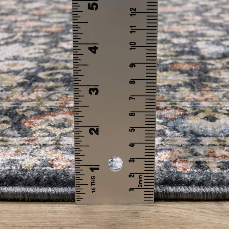 Esme Traditional Floral Border Area Rug