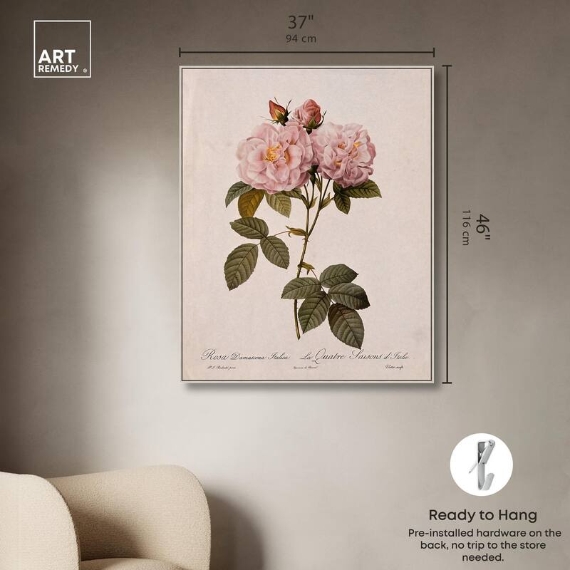 Damask Rose Canvas by Art Remedy